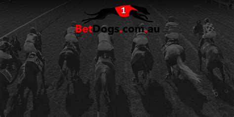 BetDogs.