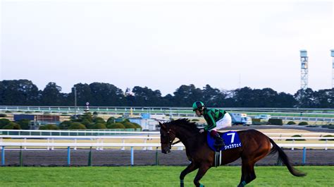 JRA日本中央競馬会.