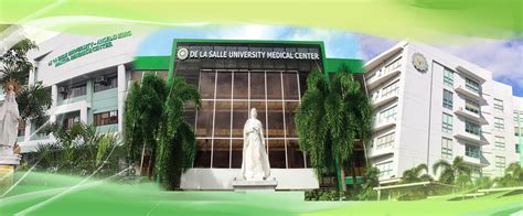 dlsmhsi.edu.ph.