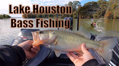 www.ww.lakehoustonfishing.com.